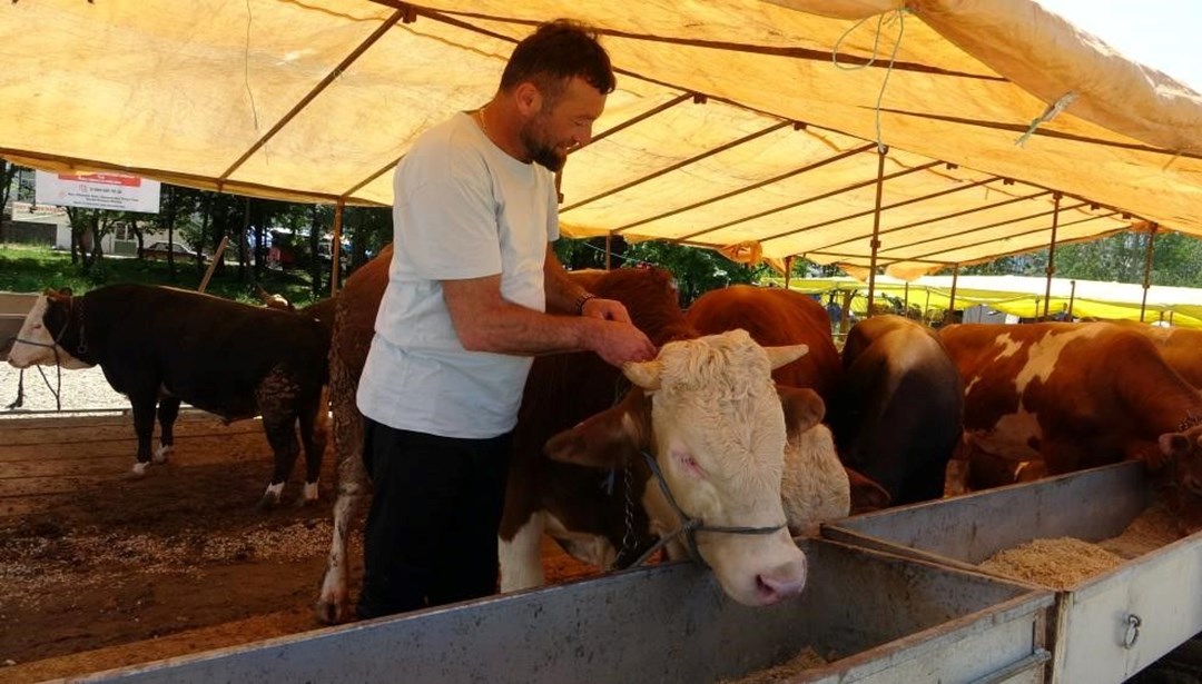 81 ile acil kodlu yazı: Tüm hayvan pazarları kapatıldı – Son Dakika Türkiye Haberleri Detaylar…