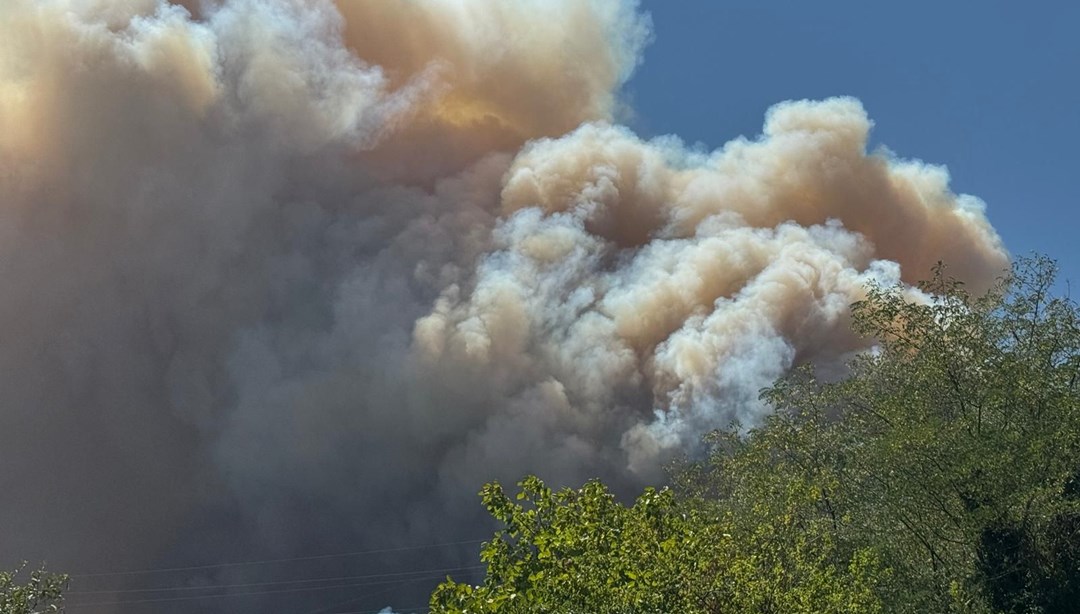 Sakarya’daki orman yangınında son durum: 6 mahalle tahliye edildi, kara yolu kapatıldı – Son Dakika Türkiye Haberleri Detaylar…