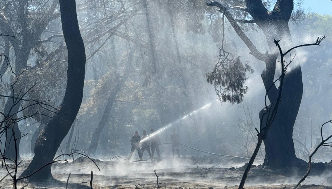 Çanakkale, Antalya ve Hatay’daki yangınlar kontrol altına alındı – Son Dakika Türkiye Haberleri Detaylar…