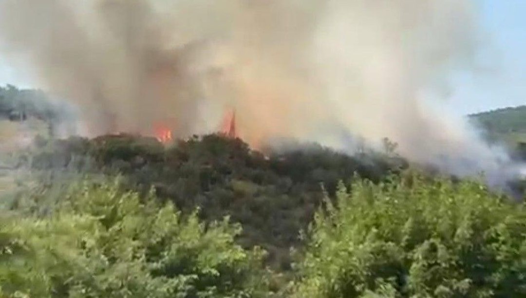 İstanbul’da orman yangını: Vatandaşlar tahliye edildi – Son Dakika Türkiye Haberleri Detaylar…