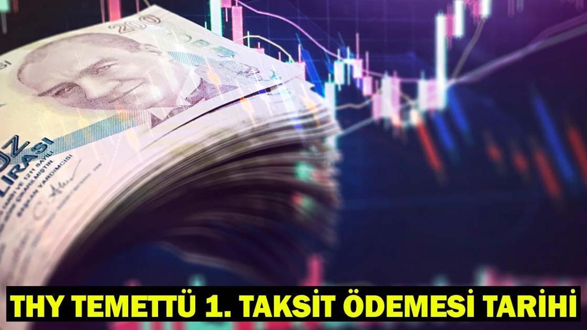 THY TEMETTÜ 2. TAKSİT ÖDEMESİ TARİHİ! THY hisse başı ne kadar ödeme yapacak? Detaylar…
